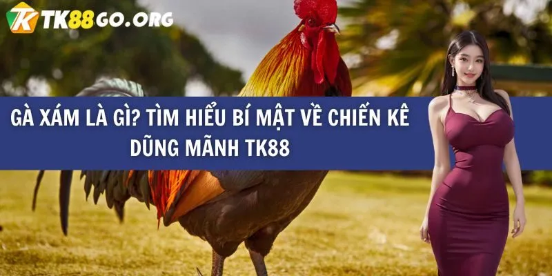 Laucuagame cung cấp nhiều trò chơi điện tử hấp dẫn và thú vị - Laucuagame